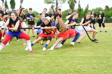 Enlarge photo 76