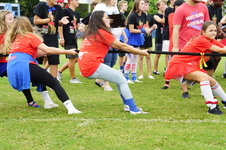 Enlarge photo 90