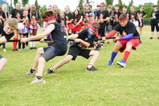 Enlarge photo 116