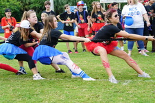 Enlarge photo 151