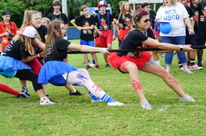 Enlarge photo 152