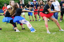Enlarge photo 155