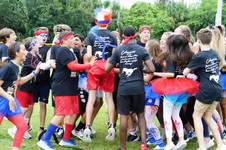 Enlarge photo 203