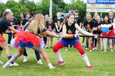 Enlarge photo 227
