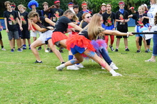 Enlarge photo 236