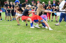 Enlarge photo 239
