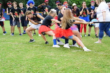 Enlarge photo 240