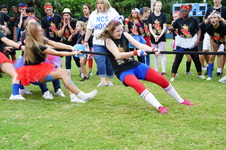 Enlarge photo 244
