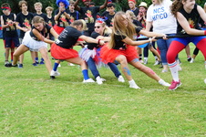 Enlarge photo 246