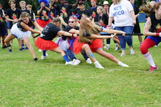 Enlarge photo 247