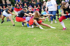 Enlarge photo 248