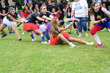 Enlarge photo 249