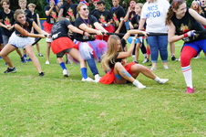Enlarge photo 250
