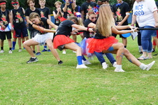Enlarge photo 252
