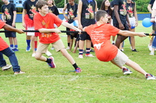 Enlarge photo 318