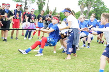 Enlarge photo 322