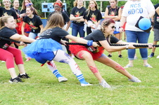 Enlarge photo 408