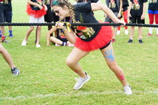 Enlarge photo 432