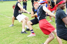 Enlarge photo 454