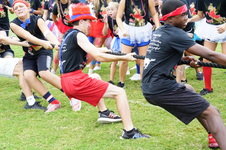 Enlarge photo 479