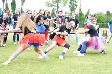 Enlarge photo 507