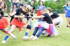 Enlarge photo 511