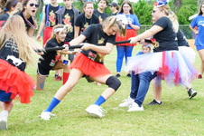 Enlarge photo 517