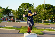 Enlarge photo 409