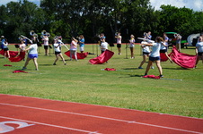 Enlarge photo 335