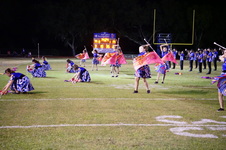 Enlarge photo 59