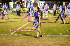 Enlarge photo 195
