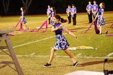 Enlarge photo 216