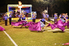 Enlarge photo 241