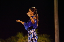 Enlarge photo 263