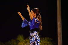 Enlarge photo 266