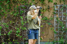 Enlarge photo 195