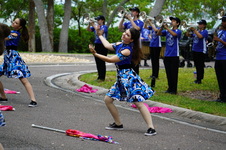 Enlarge photo 257