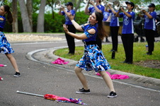Enlarge photo 261