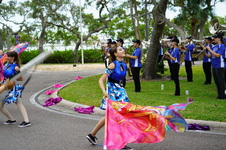 Enlarge photo 305