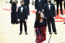 Enlarge photo 244