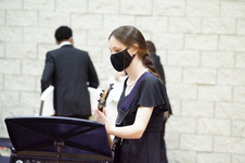 Enlarge photo 537