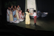 Enlarge photo 582