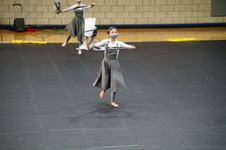 Enlarge photo 259