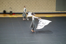 Enlarge photo 265