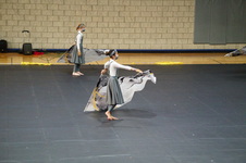 Enlarge photo 266
