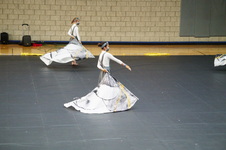 Enlarge photo 270