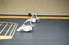 Enlarge photo 285