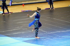 Enlarge photo 509
