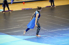Enlarge photo 510