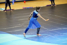 Enlarge photo 511